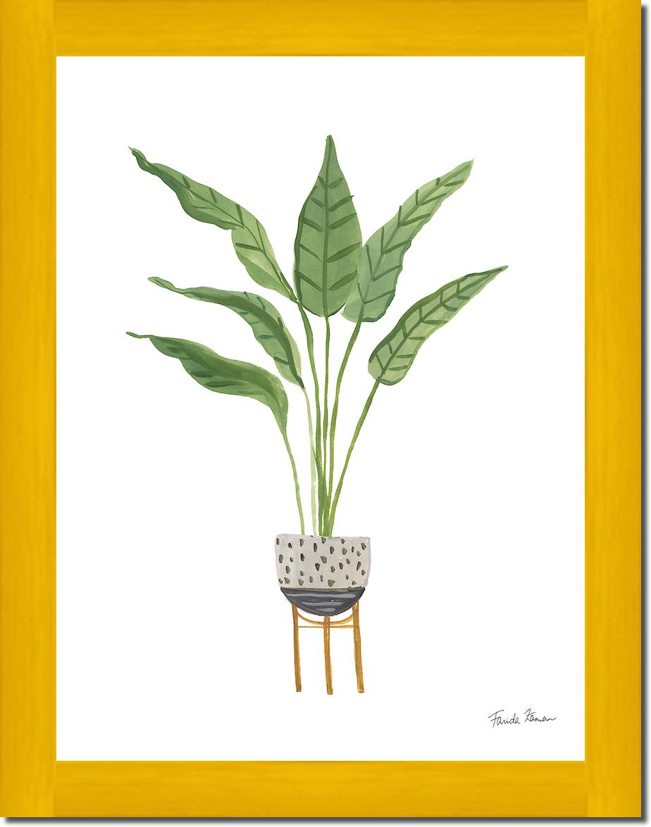 Green House Plants III von Farida Zaman