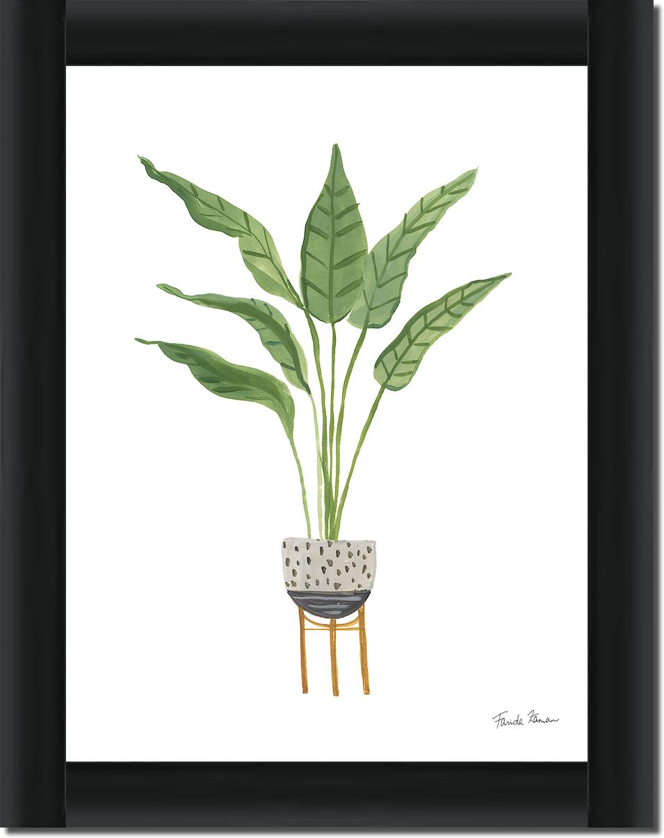 Green House Plants III von Farida Zaman