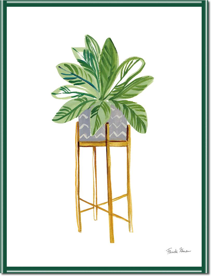 Green House Plants I von Farida Zaman