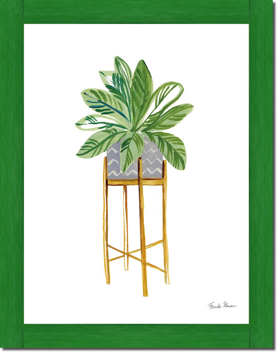 Green House Plants I von Farida Zaman