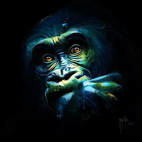 Black Kong von Patrice Murciano