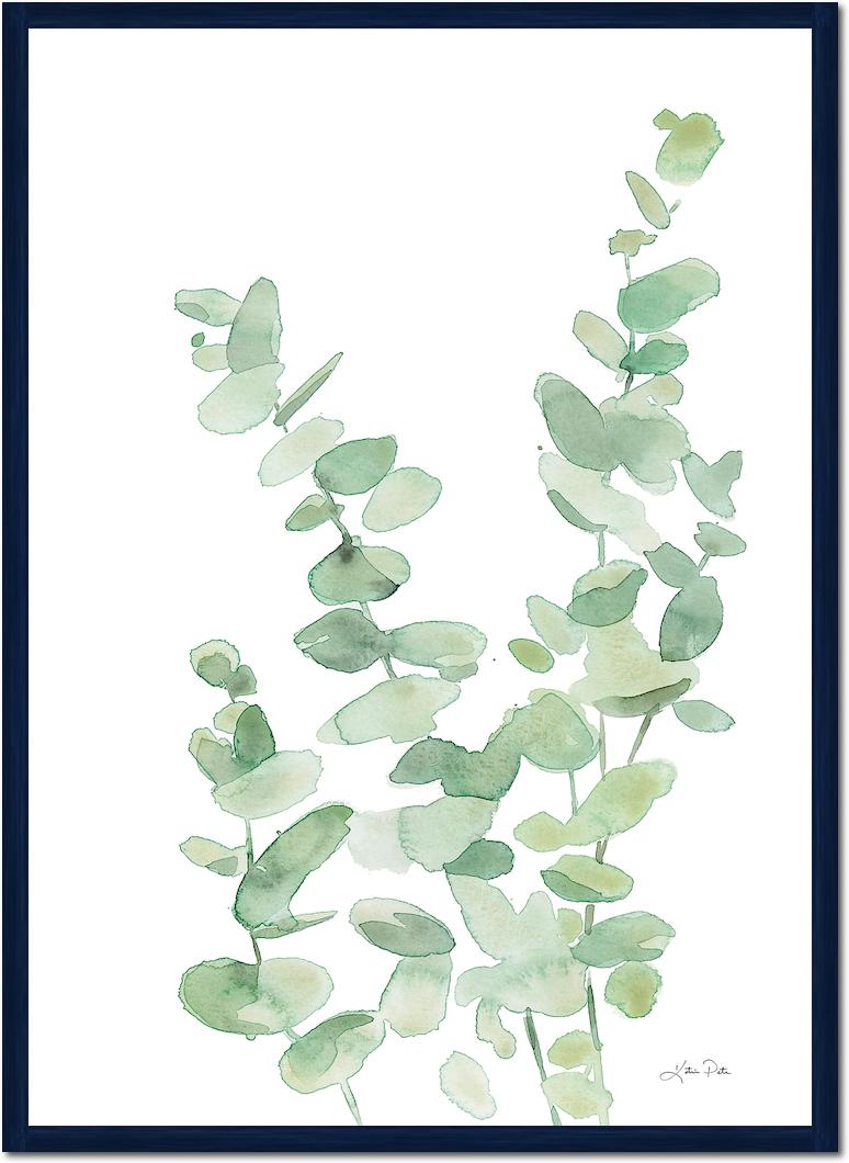 Eucalyptus II von Katrina Pete