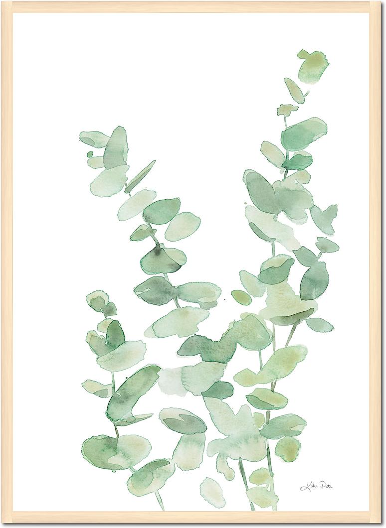 Eucalyptus II von Katrina Pete