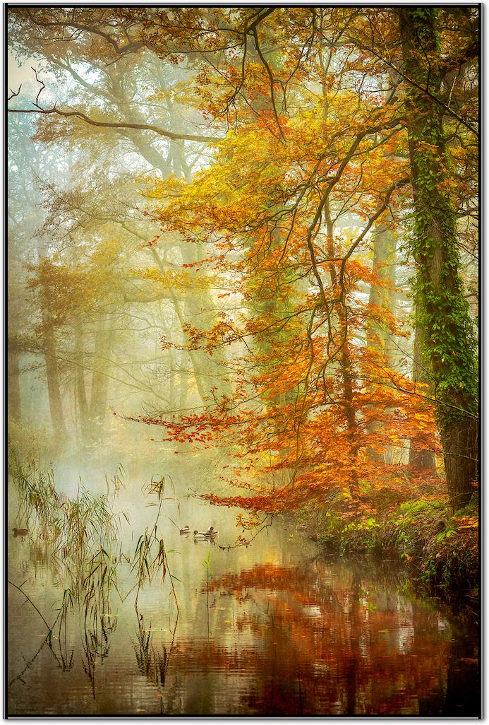 In Romance von Lars van de Goor