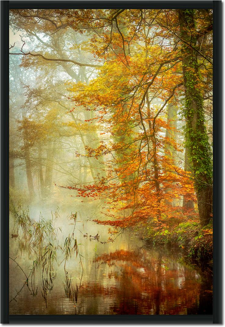 In Romance von Lars van de Goor