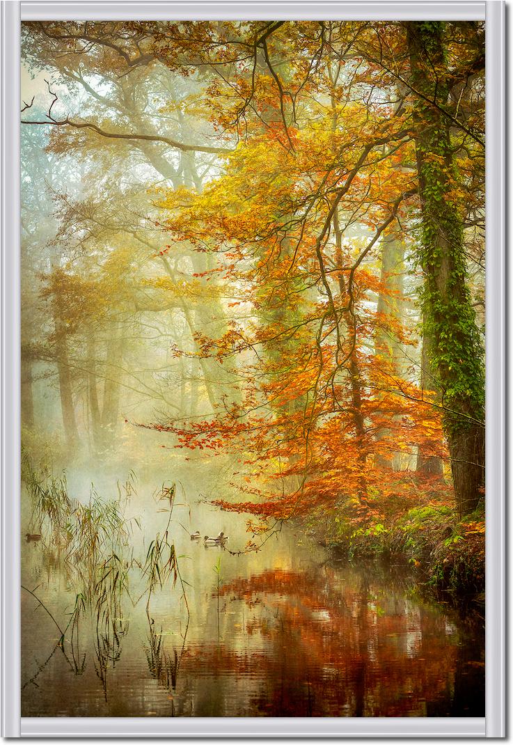 In Romance von Lars van de Goor