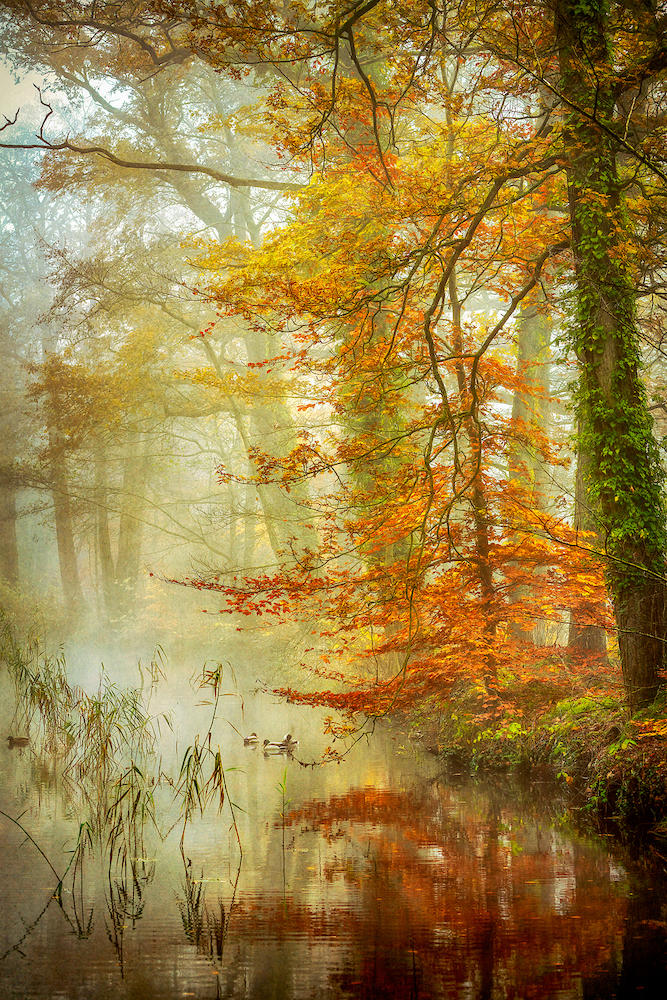 In Romance von Lars van de Goor