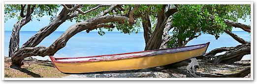 Yeloow Bird Boat von Steve Vaughn