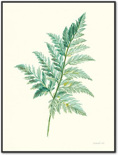 Leaf Study I von Danhui Nai