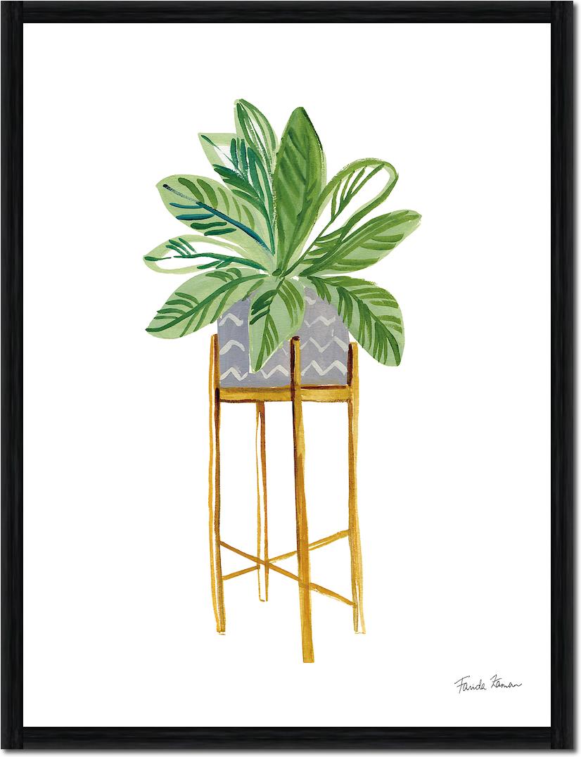 Green House Plants I von Farida Zaman