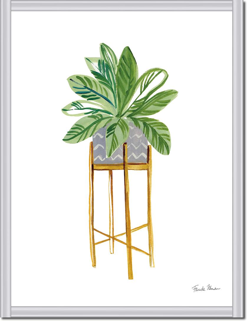 Green House Plants I von Farida Zaman