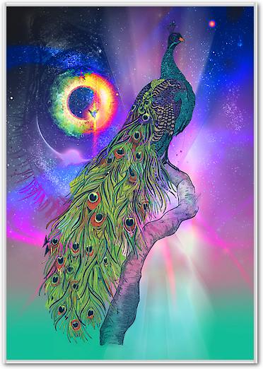 Cosmic Peacock von Karin Roberts