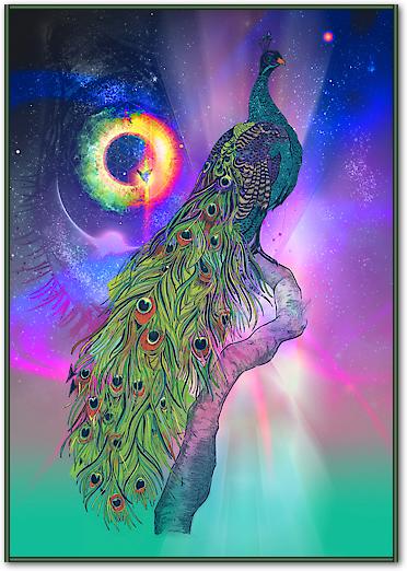 Cosmic Peacock von Karin Roberts