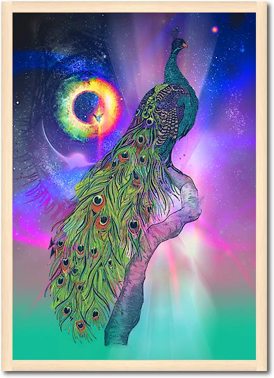 Cosmic Peacock von Karin Roberts