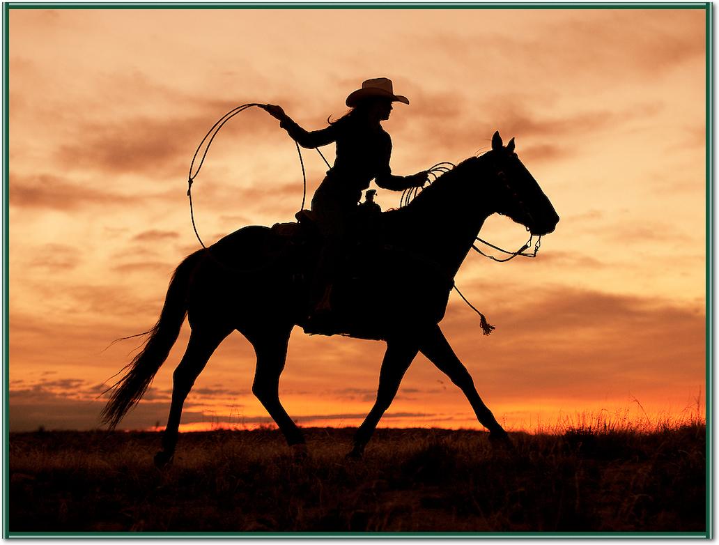 Cowgirl Silhouette von J.C. Leacock