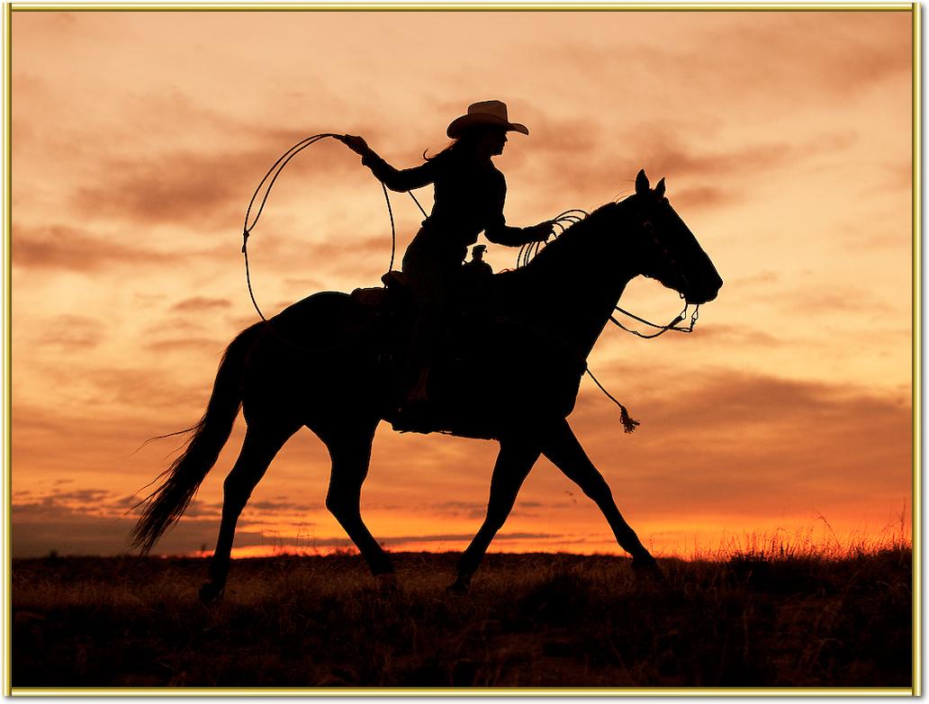 Cowgirl Silhouette von J.C. Leacock