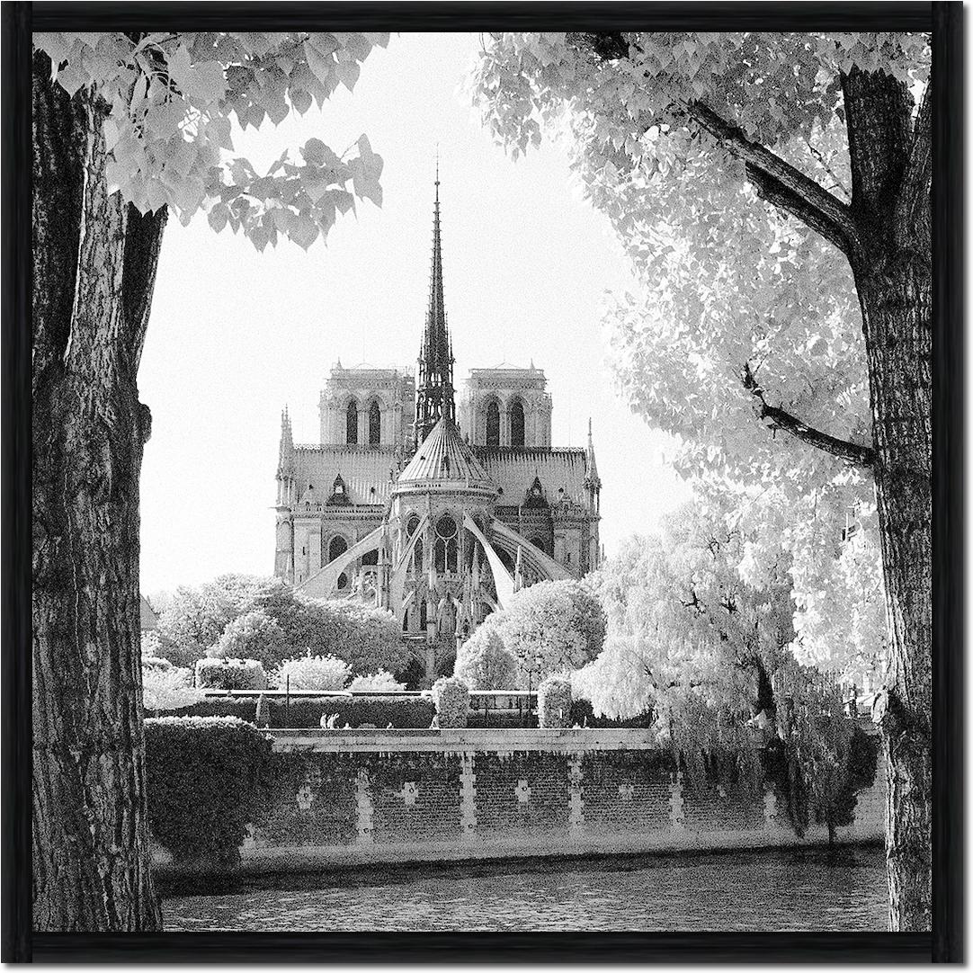 France Paris Notre-Dame von Dave Butcher
