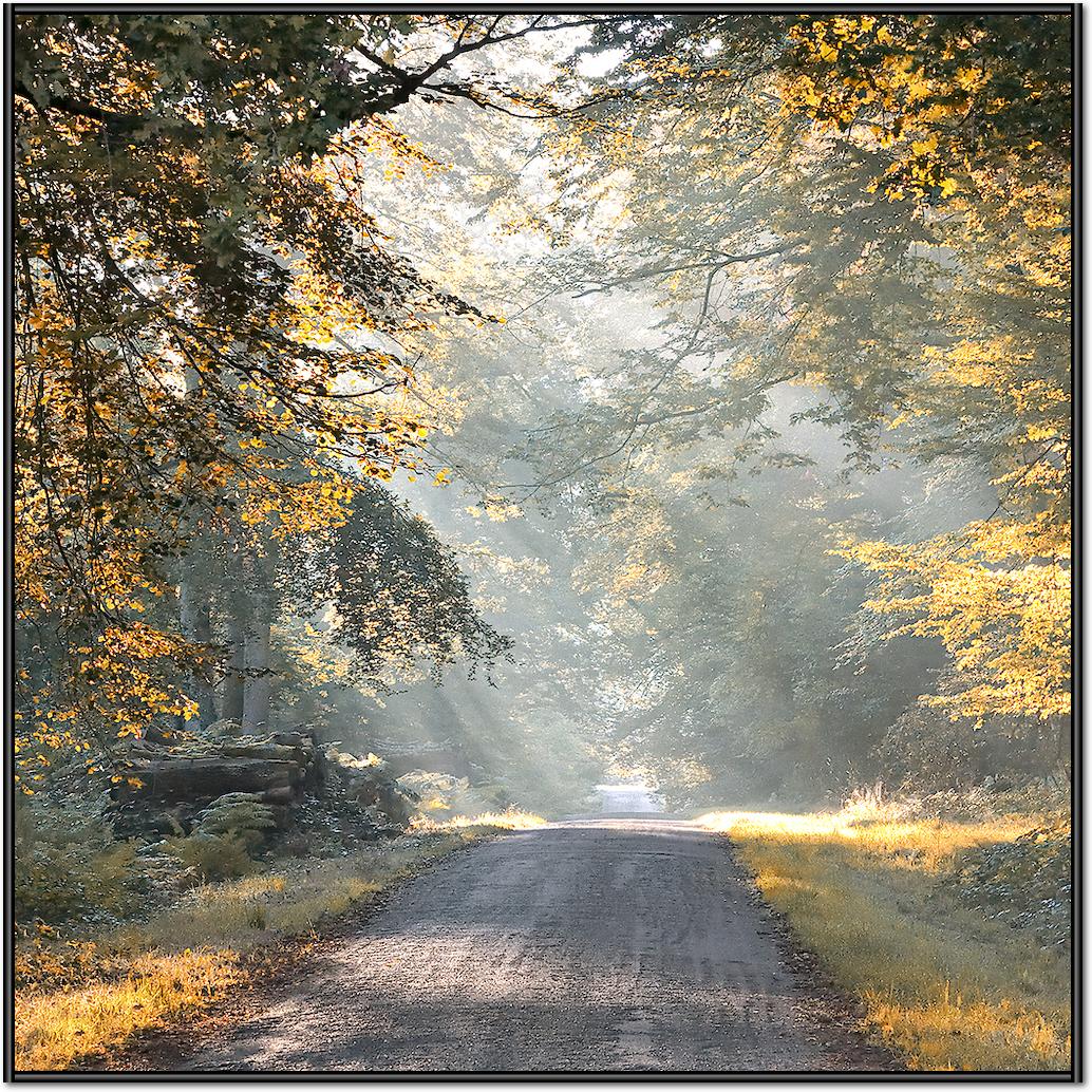 Magic light von Georges-Félix Cohen