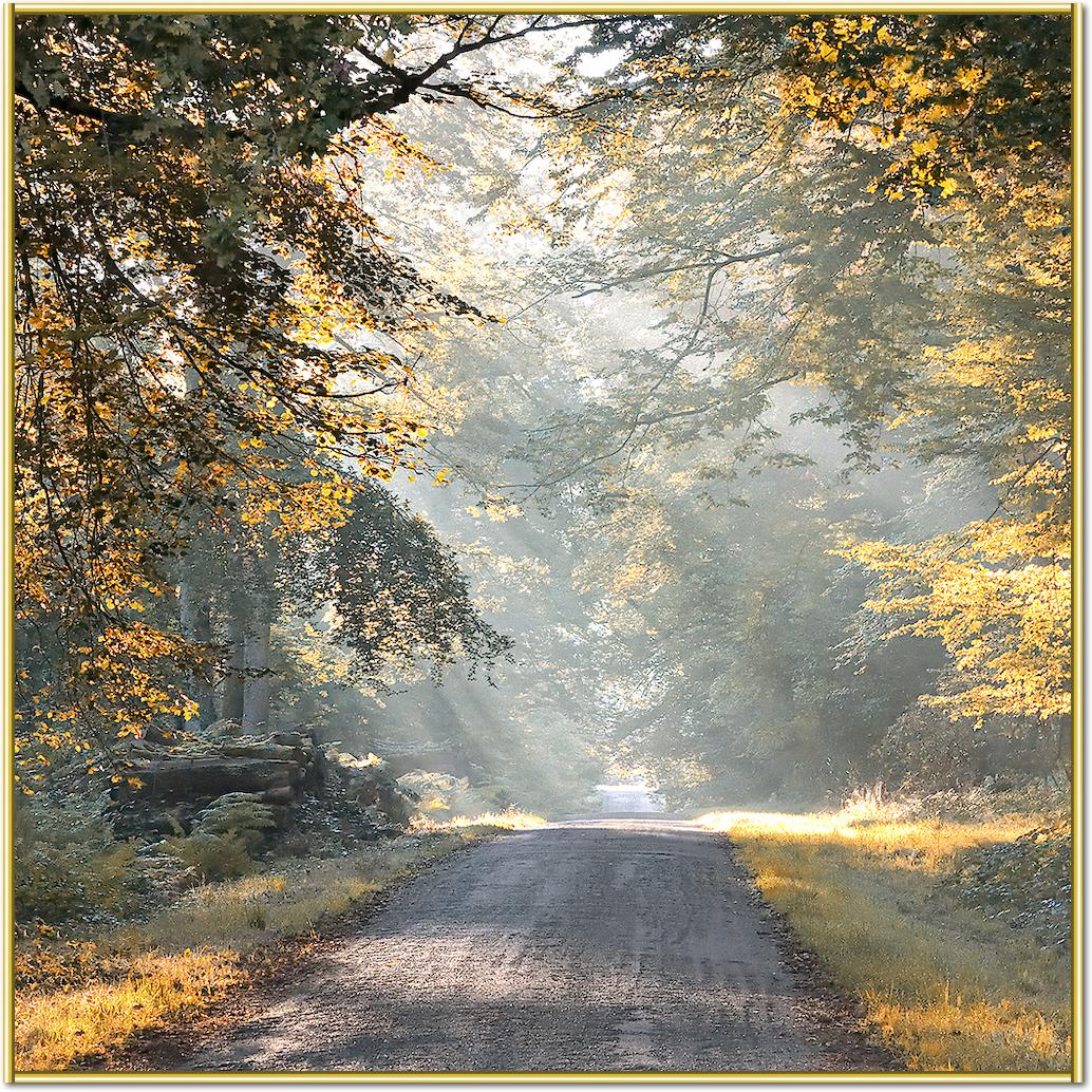 Magic light von Georges-Félix Cohen