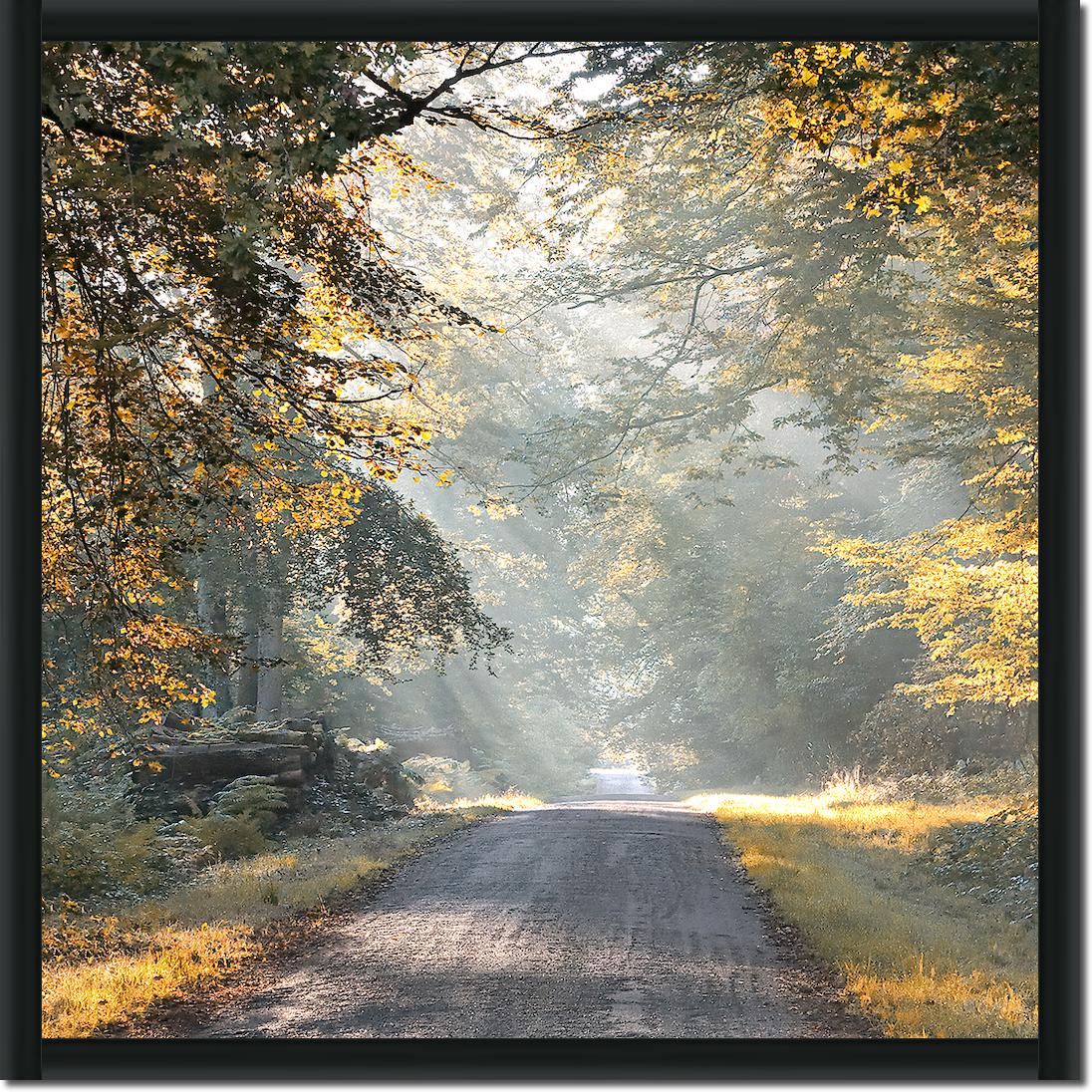 Magic light von Georges-Félix Cohen