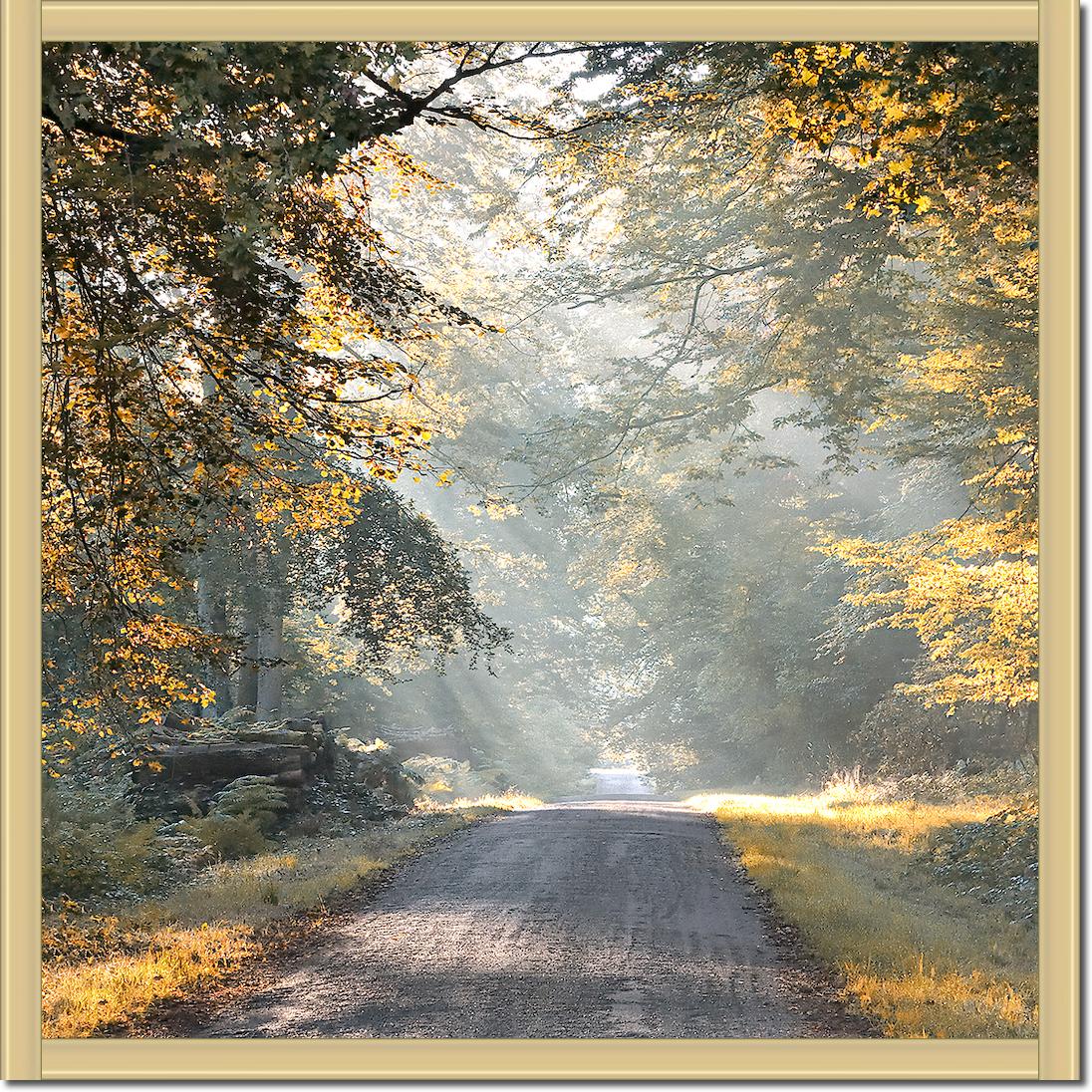 Magic light von Georges-Félix Cohen