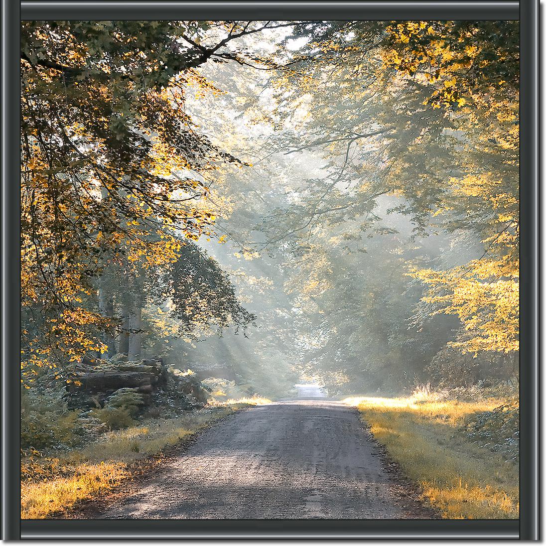 Magic light von Georges-Félix Cohen