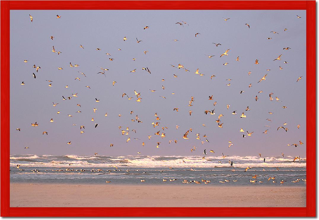 Birds von Georges-Félix Cohen