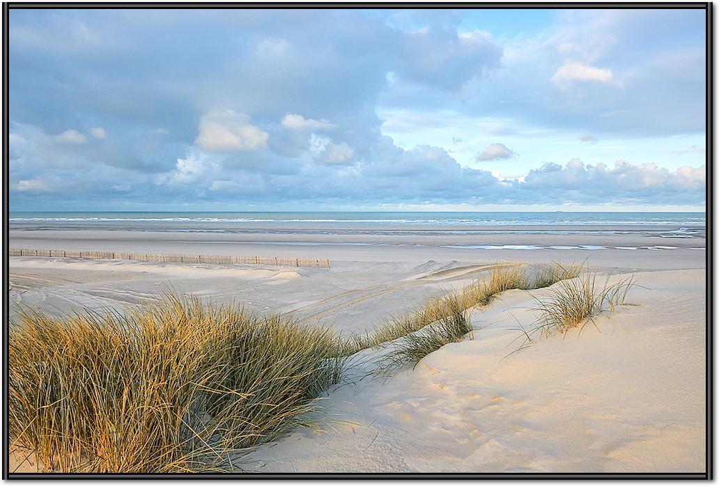 Les dunes XIV von Georges-Félix Cohen