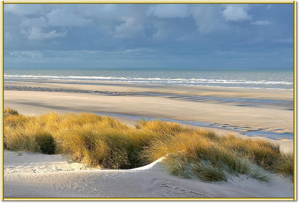 Les dunes XIII von Georges-Félix Cohen