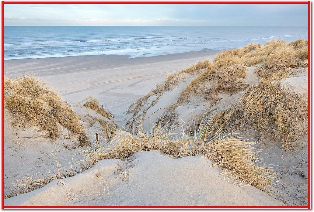 Les dunes - pastel von Georges-Félix Cohen