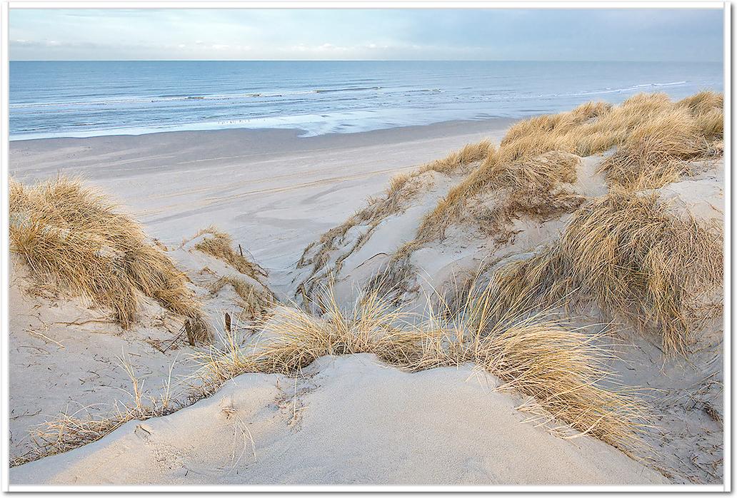 Les dunes - pastel von Georges-Félix Cohen