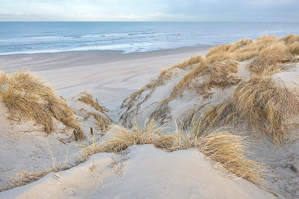 Les dunes - pastel von Georges-Félix Cohen