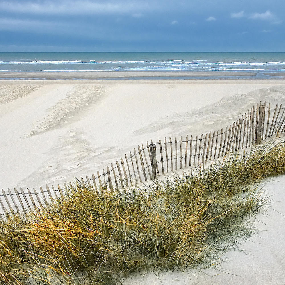 Les Dunes IX von Georges-Félix Cohen