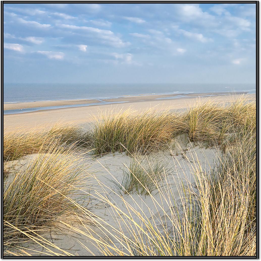 Les Dunes VI von Georges-Félix Cohen