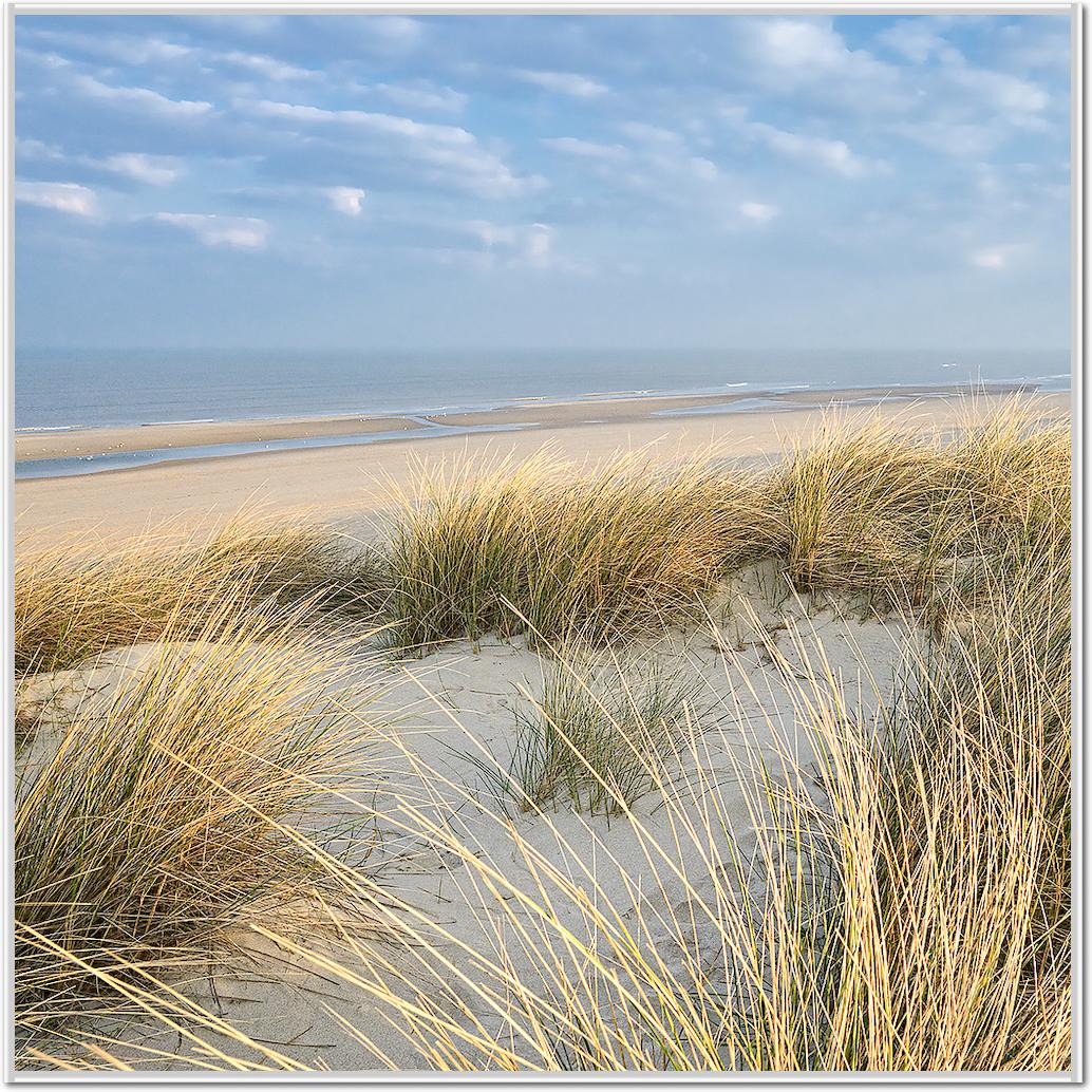 Les Dunes VI von Georges-Félix Cohen