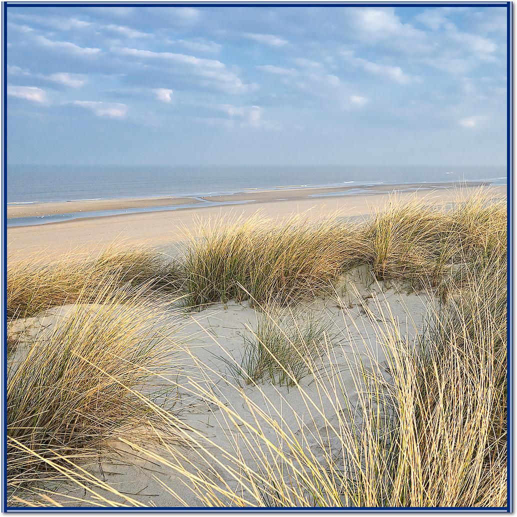 Les Dunes VI von Georges-Félix Cohen