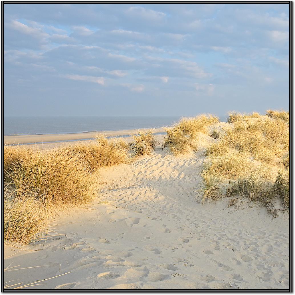 Les Dunes V von Georges-Félix Cohen