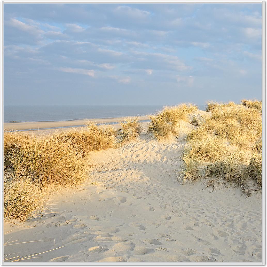 Les Dunes V von Georges-Félix Cohen