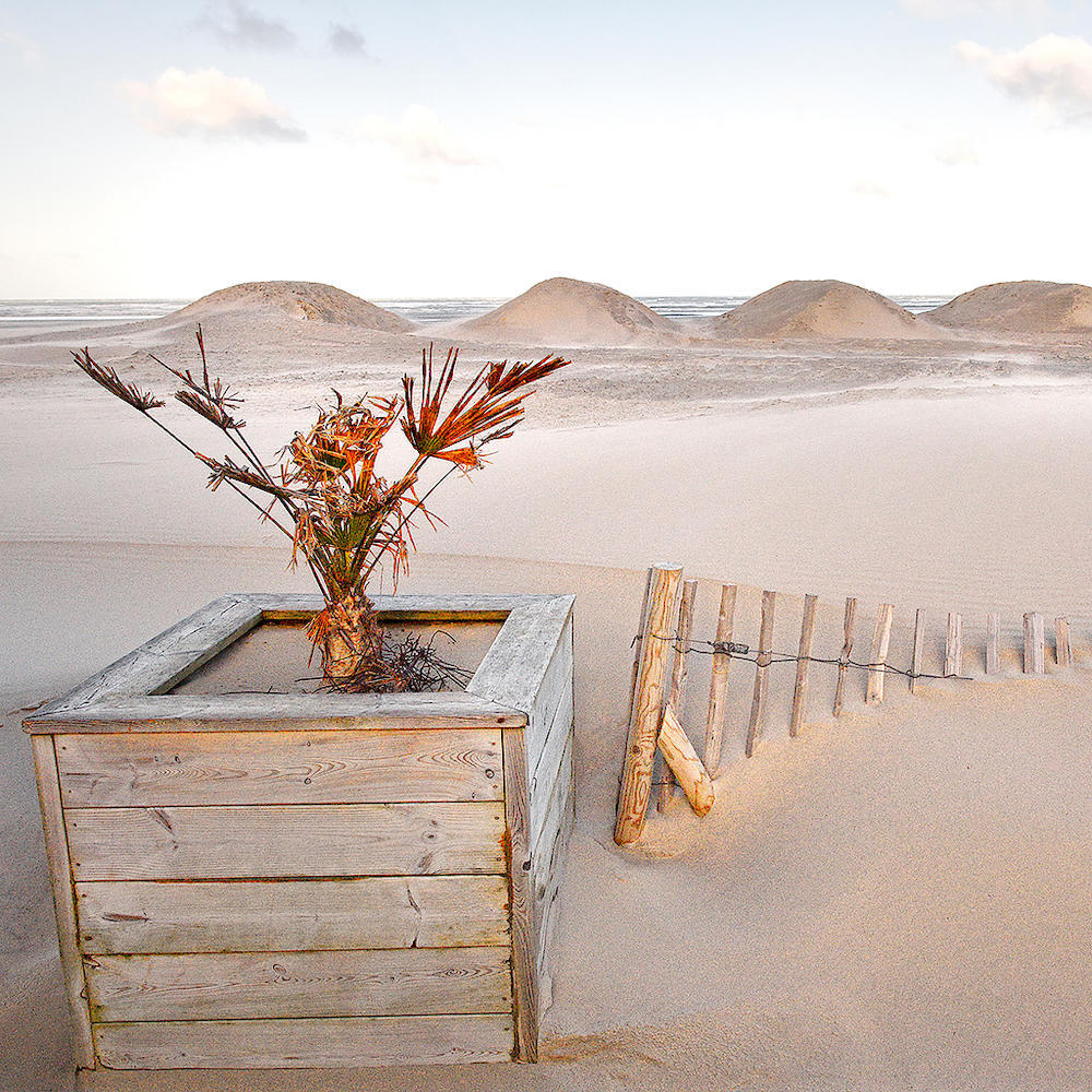 La magie des dunes von Georges-Félix Cohen