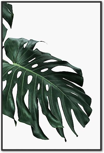 Monstera I von Sisi & Seb