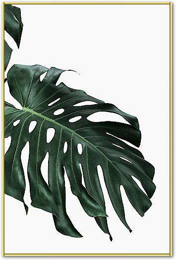 Monstera I von Sisi & Seb