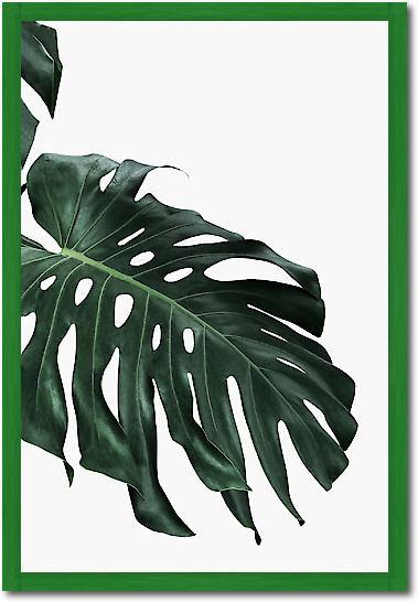 Monstera I von Sisi & Seb