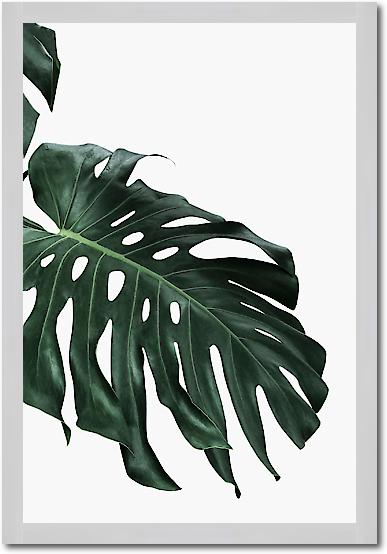 Monstera I von Sisi & Seb