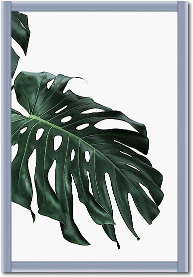 Monstera I von Sisi & Seb