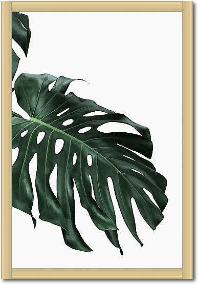 Monstera I von Sisi & Seb