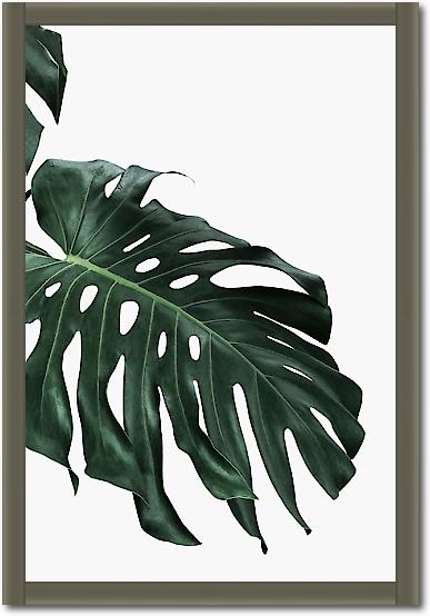 Monstera I von Sisi & Seb