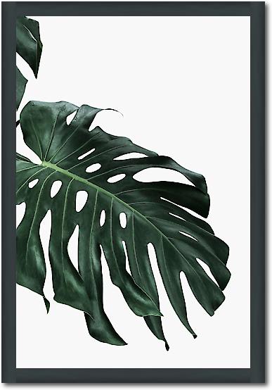 Monstera I von Sisi & Seb