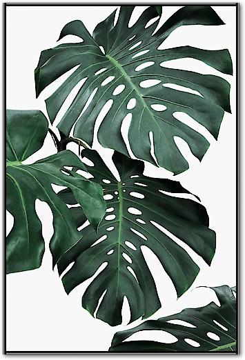 Monstera II von Sisi & Seb