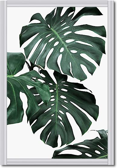 Monstera II von Sisi & Seb