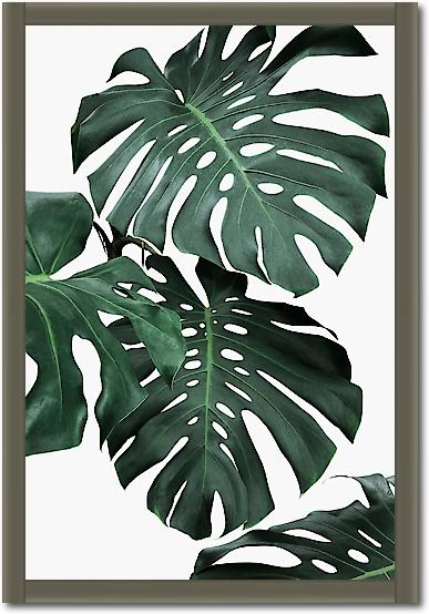 Monstera II von Sisi & Seb